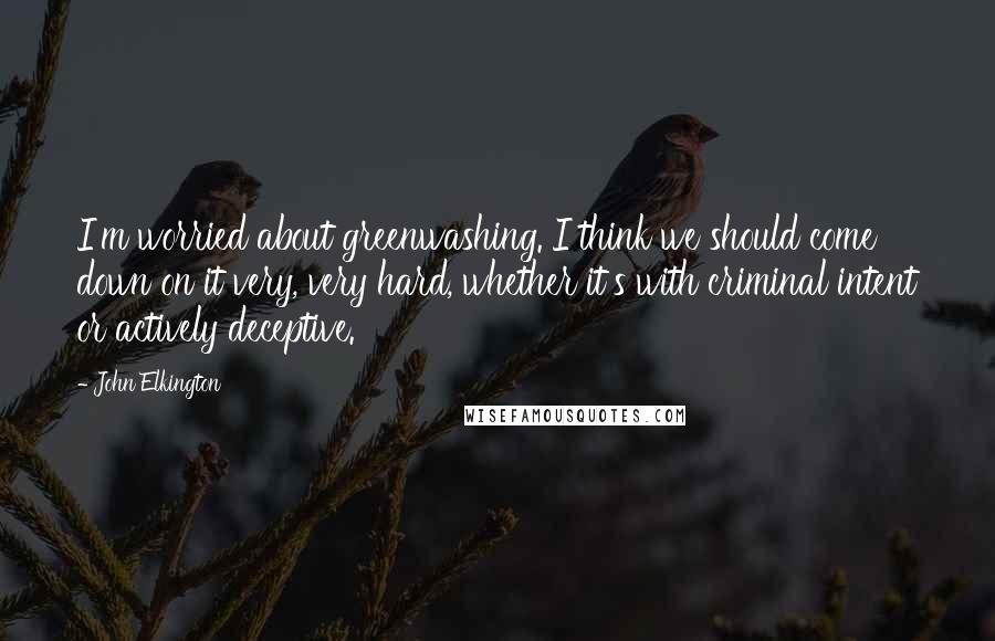 John Elkington Quotes: I'm worried about greenwashing. I think we should come down on it very, very hard, whether it's with criminal intent or actively deceptive.