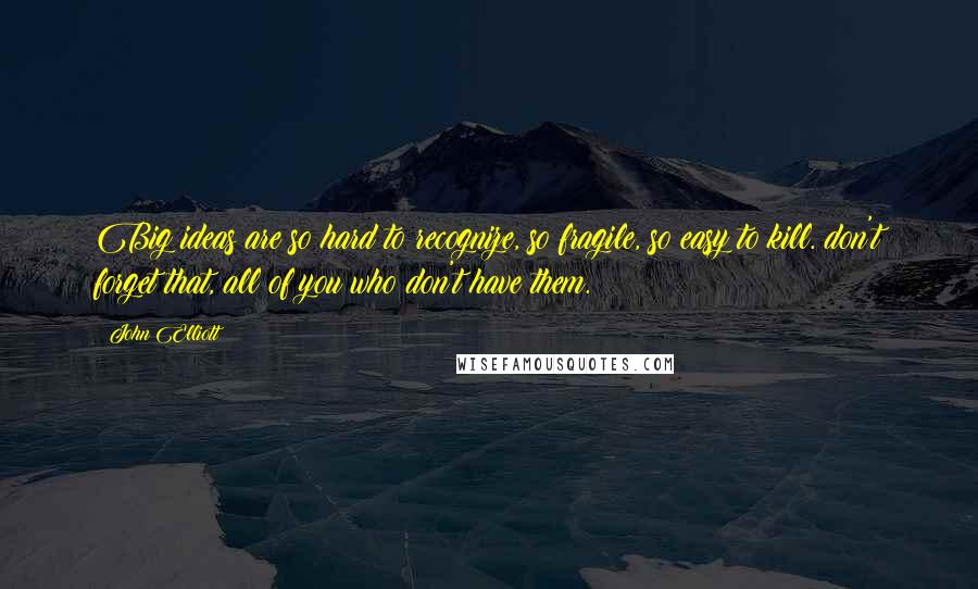 John Elliott Quotes: Big ideas are so hard to recognize, so fragile, so easy to kill. don't forget that, all of you who don't have them.