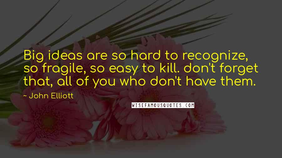 John Elliott Quotes: Big ideas are so hard to recognize, so fragile, so easy to kill. don't forget that, all of you who don't have them.