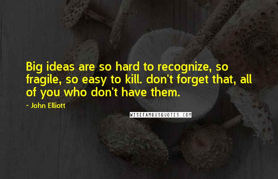 John Elliott Quotes: Big ideas are so hard to recognize, so fragile, so easy to kill. don't forget that, all of you who don't have them.