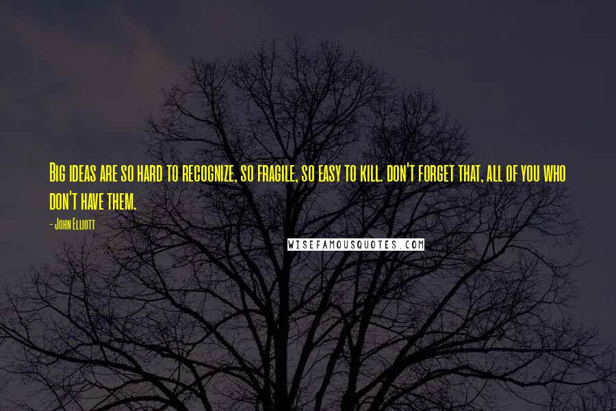 John Elliott Quotes: Big ideas are so hard to recognize, so fragile, so easy to kill. don't forget that, all of you who don't have them.