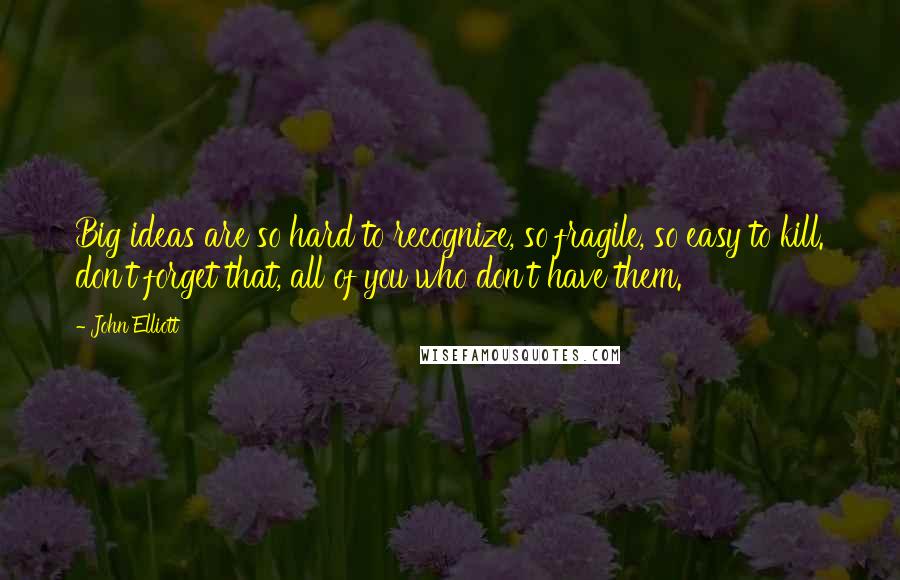 John Elliott Quotes: Big ideas are so hard to recognize, so fragile, so easy to kill. don't forget that, all of you who don't have them.