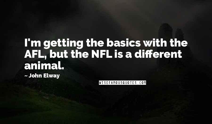 John Elway Quotes: I'm getting the basics with the AFL, but the NFL is a different animal.