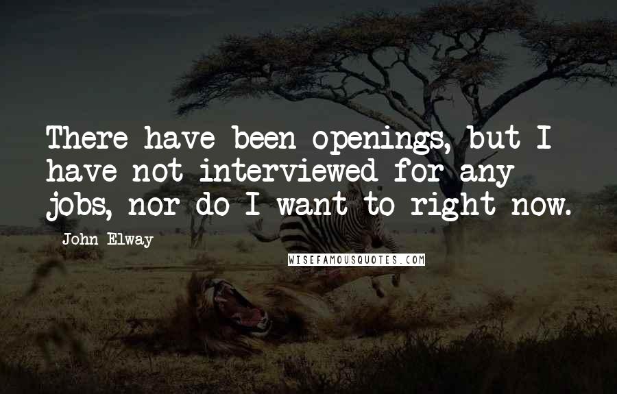 John Elway Quotes: There have been openings, but I have not interviewed for any jobs, nor do I want to right now.