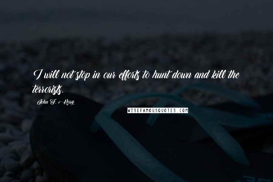 John F. Kerry Quotes: I will not stop in our efforts to hunt down and kill the terrorists.