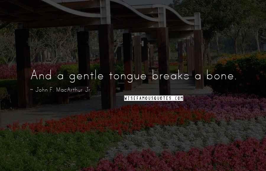 John F. MacArthur Jr. Quotes: And a gentle tongue breaks a bone.