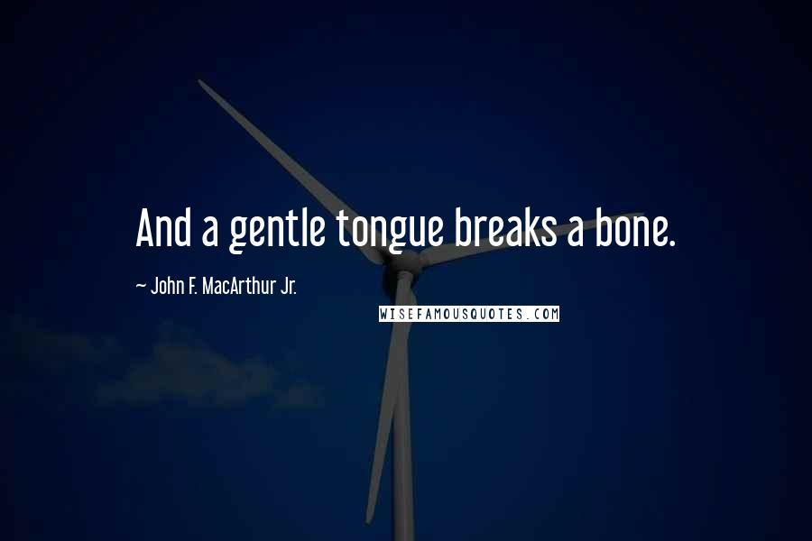 John F. MacArthur Jr. Quotes: And a gentle tongue breaks a bone.