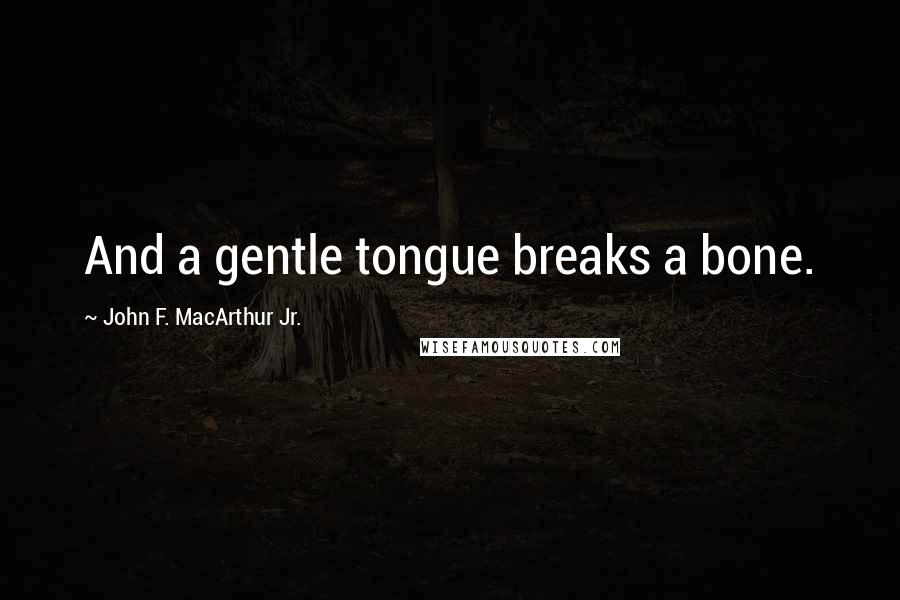 John F. MacArthur Jr. Quotes: And a gentle tongue breaks a bone.