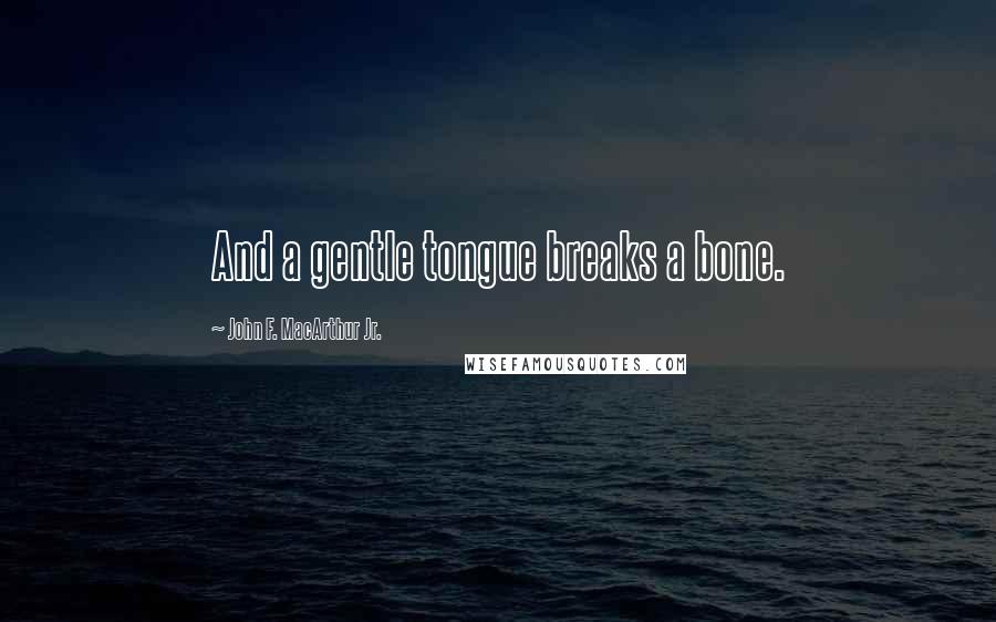 John F. MacArthur Jr. Quotes: And a gentle tongue breaks a bone.