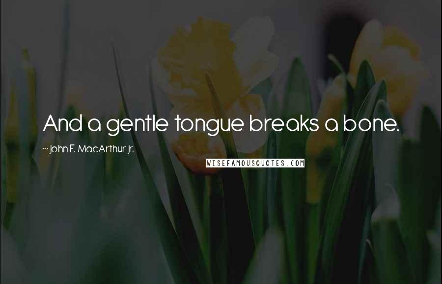 John F. MacArthur Jr. Quotes: And a gentle tongue breaks a bone.