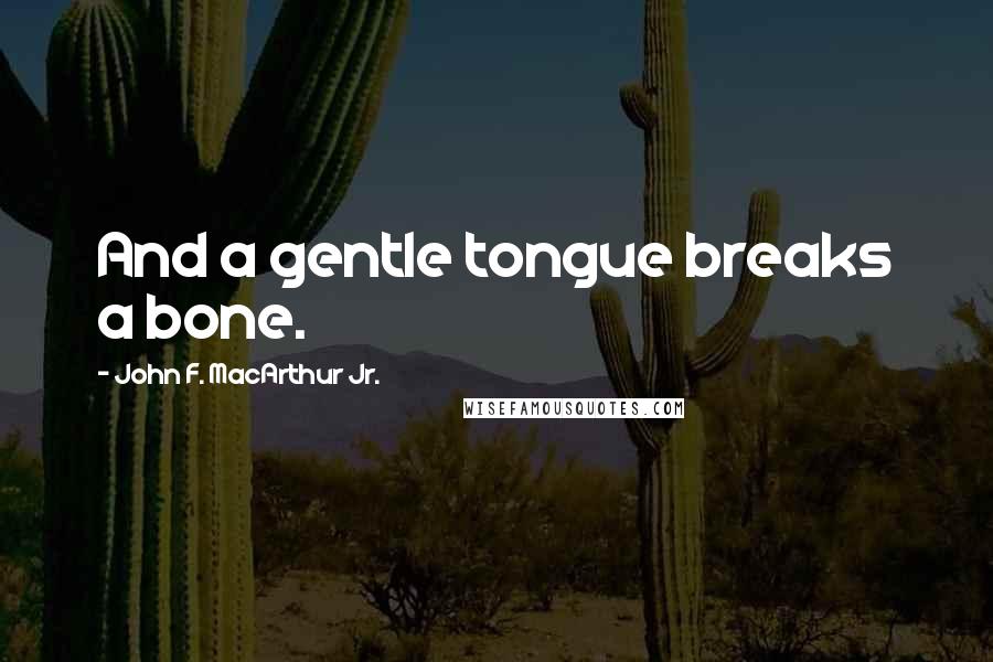 John F. MacArthur Jr. Quotes: And a gentle tongue breaks a bone.