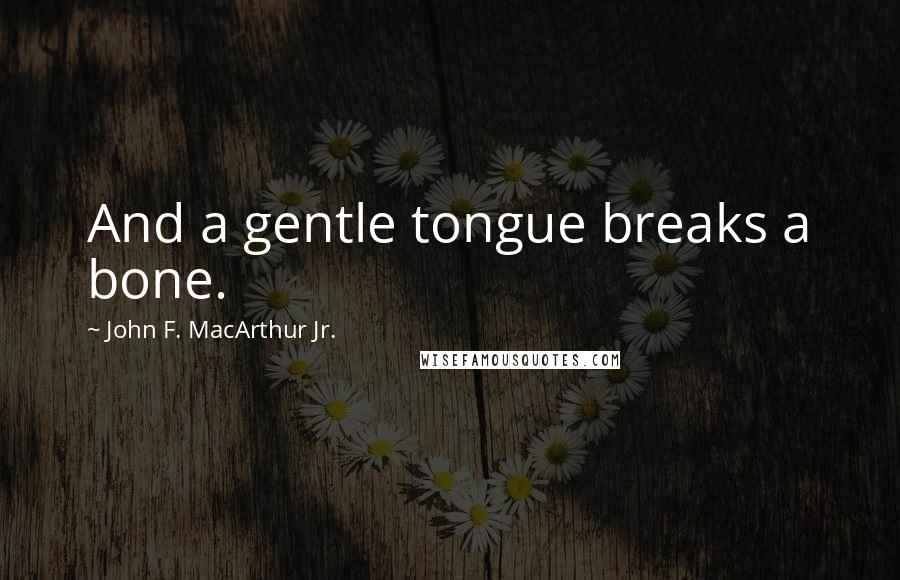 John F. MacArthur Jr. Quotes: And a gentle tongue breaks a bone.