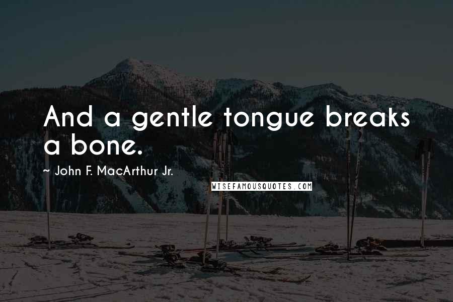 John F. MacArthur Jr. Quotes: And a gentle tongue breaks a bone.