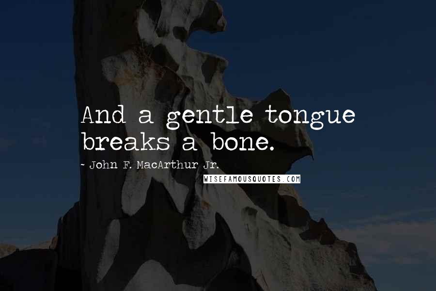 John F. MacArthur Jr. Quotes: And a gentle tongue breaks a bone.