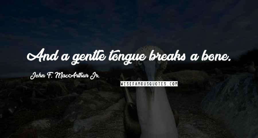 John F. MacArthur Jr. Quotes: And a gentle tongue breaks a bone.