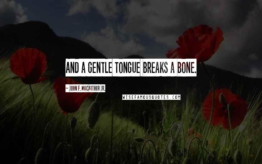 John F. MacArthur Jr. Quotes: And a gentle tongue breaks a bone.
