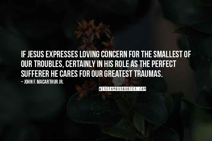John F. MacArthur Jr. Quotes: If Jesus expresses loving concern for the smallest of our troubles, certainly in His role as the perfect sufferer He cares for our greatest traumas.