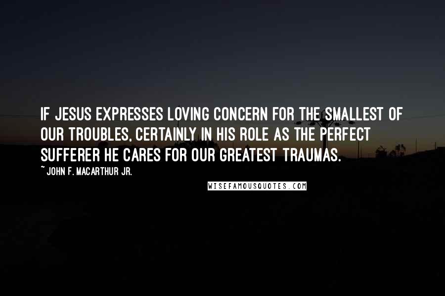 John F. MacArthur Jr. Quotes: If Jesus expresses loving concern for the smallest of our troubles, certainly in His role as the perfect sufferer He cares for our greatest traumas.