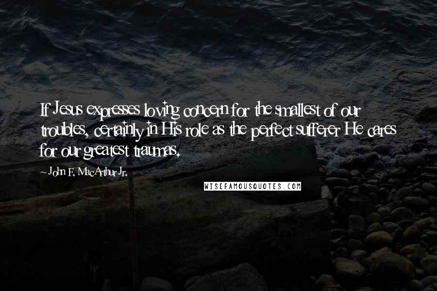 John F. MacArthur Jr. Quotes: If Jesus expresses loving concern for the smallest of our troubles, certainly in His role as the perfect sufferer He cares for our greatest traumas.