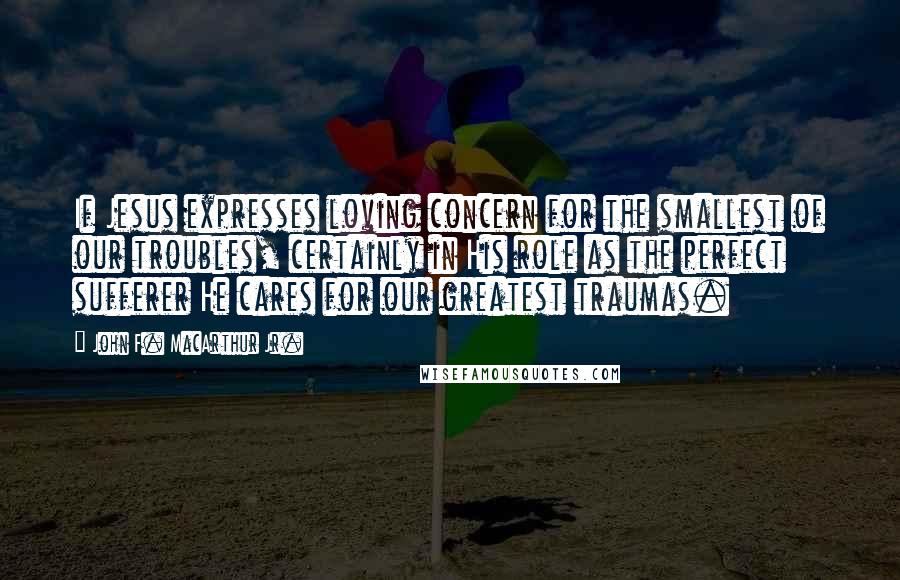 John F. MacArthur Jr. Quotes: If Jesus expresses loving concern for the smallest of our troubles, certainly in His role as the perfect sufferer He cares for our greatest traumas.