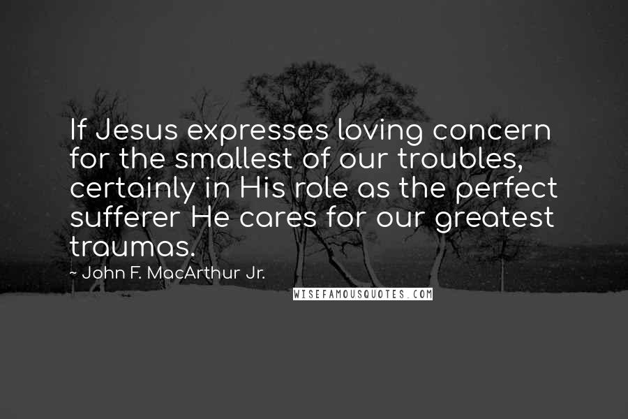 John F. MacArthur Jr. Quotes: If Jesus expresses loving concern for the smallest of our troubles, certainly in His role as the perfect sufferer He cares for our greatest traumas.
