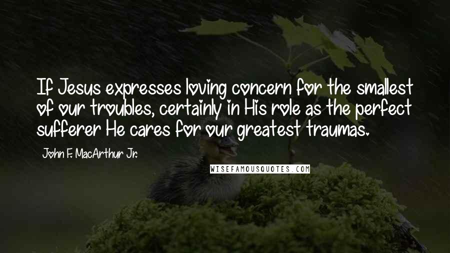 John F. MacArthur Jr. Quotes: If Jesus expresses loving concern for the smallest of our troubles, certainly in His role as the perfect sufferer He cares for our greatest traumas.