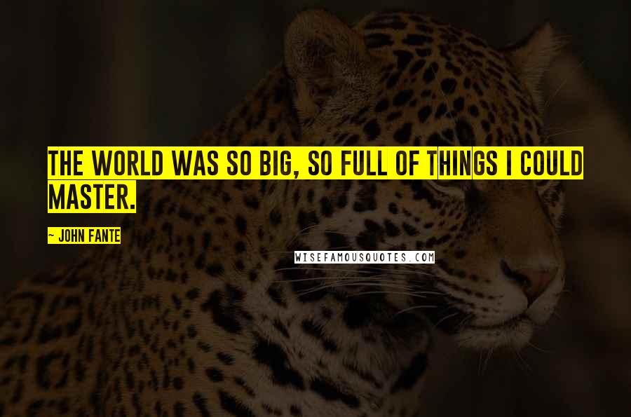 John Fante Quotes: the world was so big, so full of things I could master.