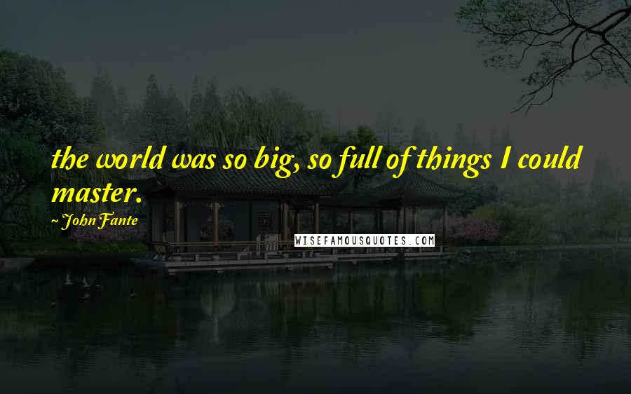 John Fante Quotes: the world was so big, so full of things I could master.