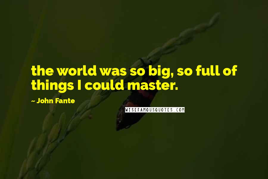 John Fante Quotes: the world was so big, so full of things I could master.