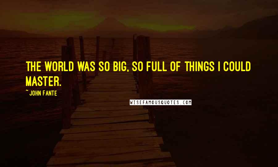 John Fante Quotes: the world was so big, so full of things I could master.