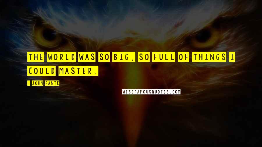 John Fante Quotes: the world was so big, so full of things I could master.