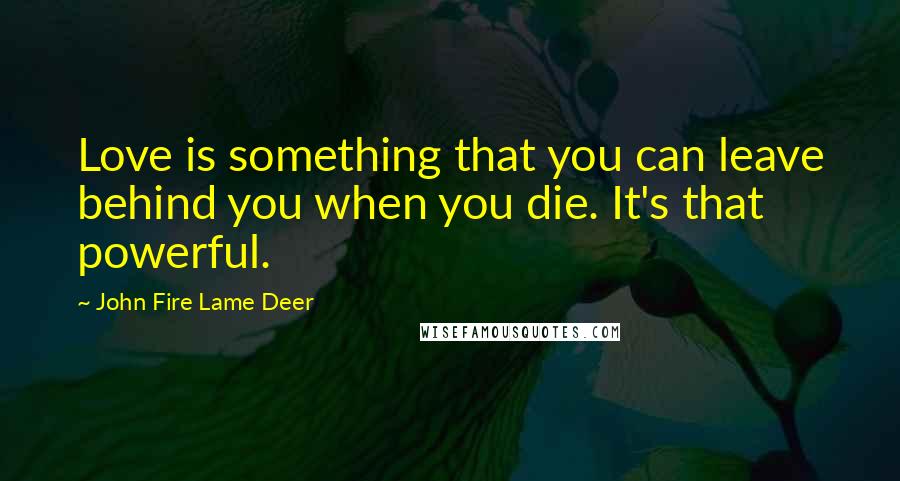 John Fire Lame Deer Quotes: Love is something that you can leave behind you when you die. It's that powerful.