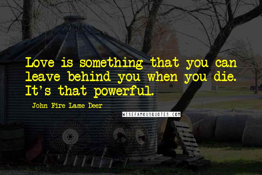 John Fire Lame Deer Quotes: Love is something that you can leave behind you when you die. It's that powerful.