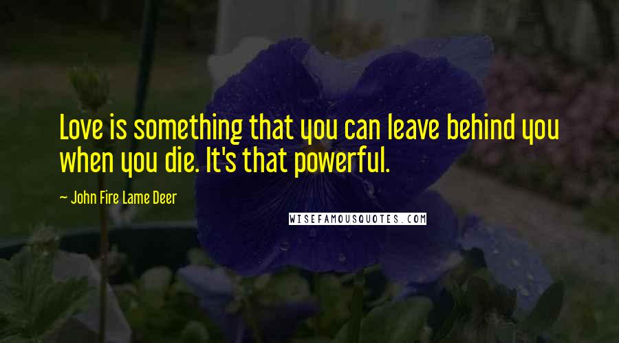 John Fire Lame Deer Quotes: Love is something that you can leave behind you when you die. It's that powerful.