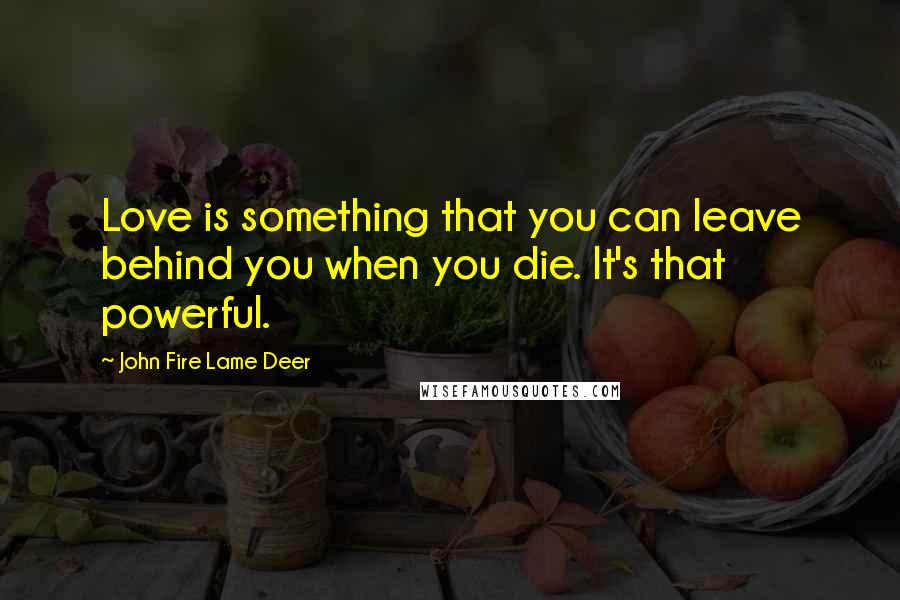 John Fire Lame Deer Quotes: Love is something that you can leave behind you when you die. It's that powerful.