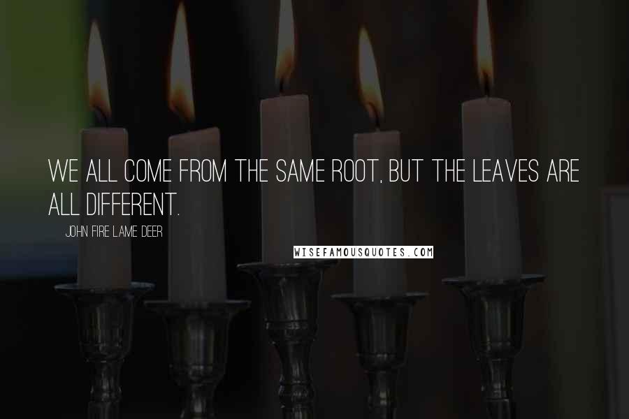John Fire Lame Deer Quotes: We all come from the same root, but the leaves are all different.
