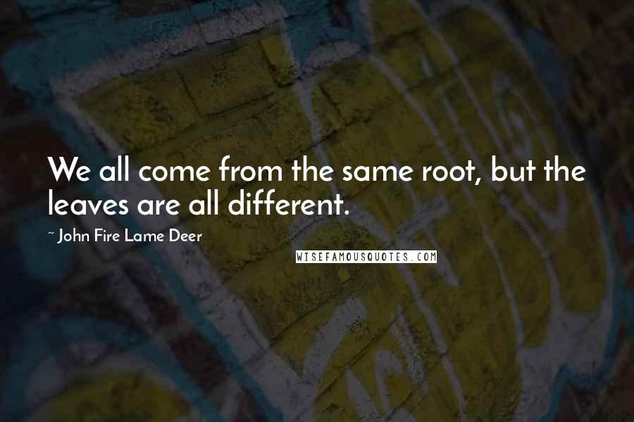 John Fire Lame Deer Quotes: We all come from the same root, but the leaves are all different.