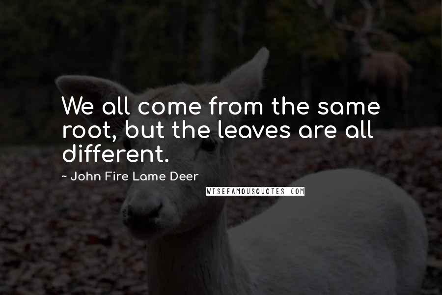John Fire Lame Deer Quotes: We all come from the same root, but the leaves are all different.