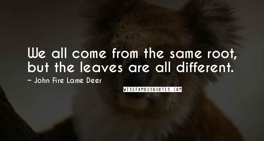 John Fire Lame Deer Quotes: We all come from the same root, but the leaves are all different.