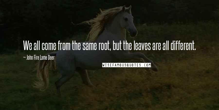 John Fire Lame Deer Quotes: We all come from the same root, but the leaves are all different.