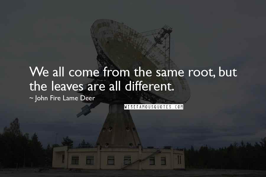 John Fire Lame Deer Quotes: We all come from the same root, but the leaves are all different.