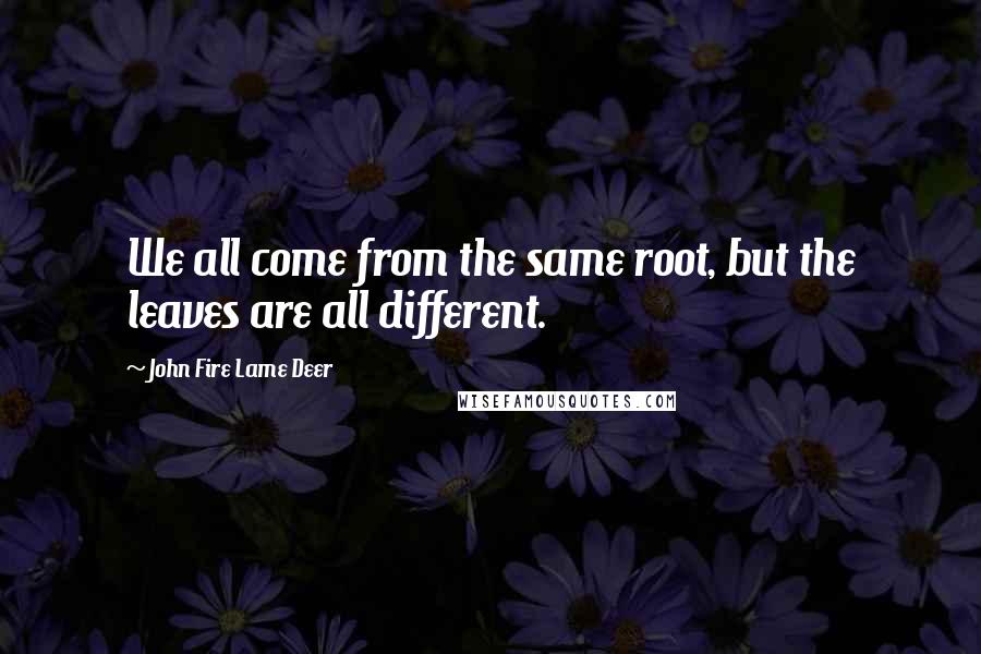 John Fire Lame Deer Quotes: We all come from the same root, but the leaves are all different.