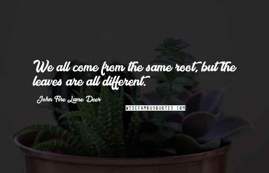 John Fire Lame Deer Quotes: We all come from the same root, but the leaves are all different.