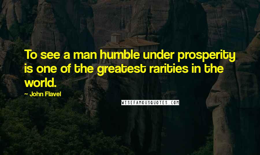 John Flavel Quotes: To see a man humble under prosperity is one of the greatest rarities in the world.
