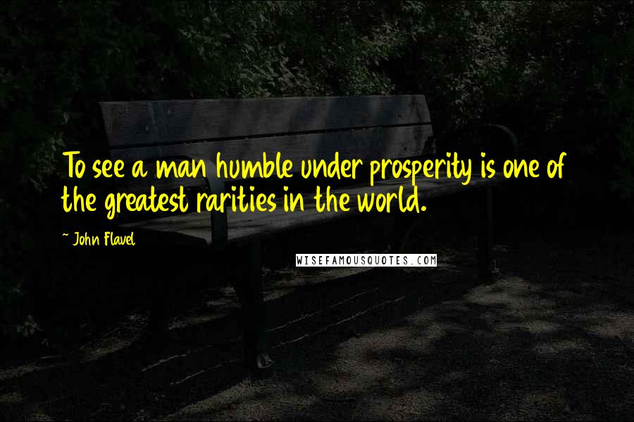 John Flavel Quotes: To see a man humble under prosperity is one of the greatest rarities in the world.