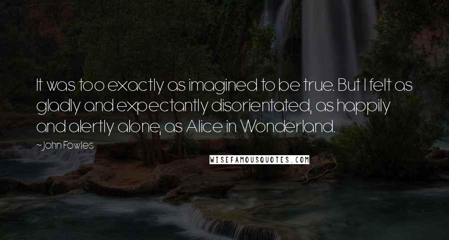 John Fowles Quotes: It was too exactly as imagined to be true. But I felt as gladly and expectantly disorientated, as happily and alertly alone, as Alice in Wonderland.