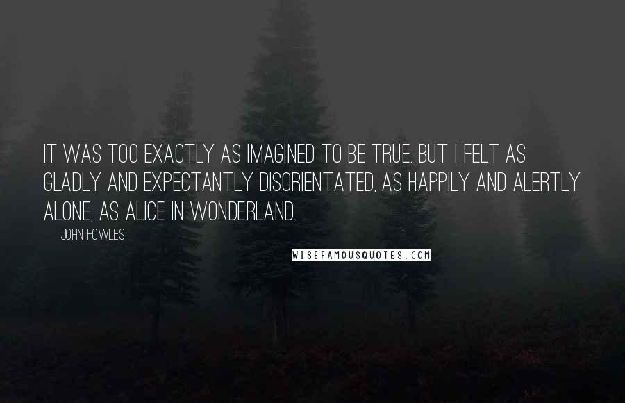 John Fowles Quotes: It was too exactly as imagined to be true. But I felt as gladly and expectantly disorientated, as happily and alertly alone, as Alice in Wonderland.