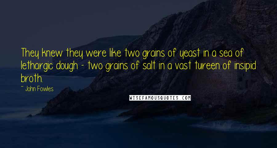 John Fowles Quotes: They knew they were like two grains of yeast in a sea of lethargic dough - two grains of salt in a vast tureen of insipid broth.