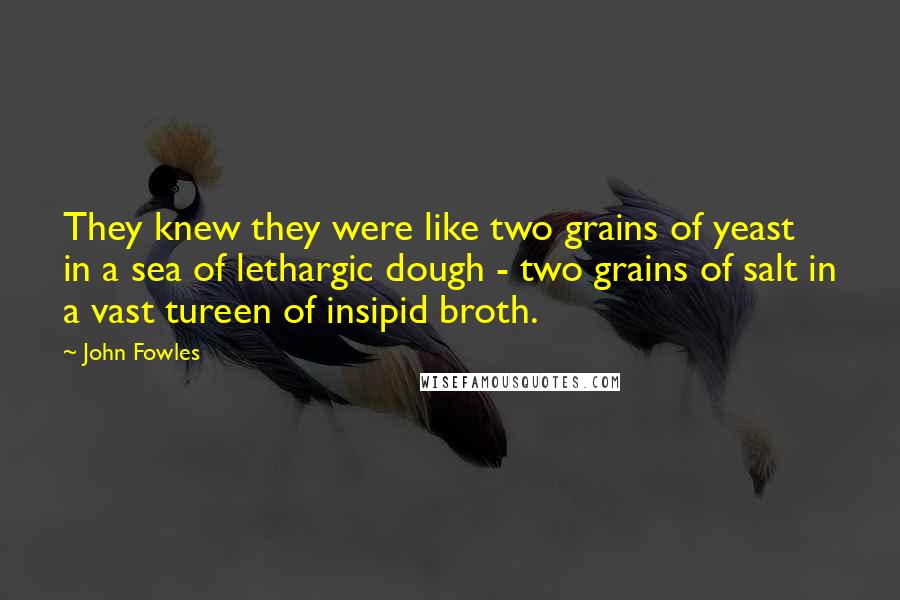 John Fowles Quotes: They knew they were like two grains of yeast in a sea of lethargic dough - two grains of salt in a vast tureen of insipid broth.