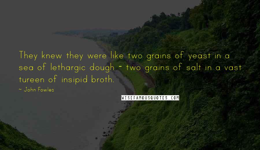 John Fowles Quotes: They knew they were like two grains of yeast in a sea of lethargic dough - two grains of salt in a vast tureen of insipid broth.